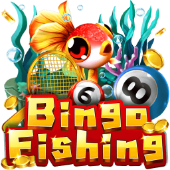 Bingo Fishing Spintime Casino